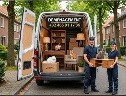 camionnette avec chauffeur, Prix raisonnable, Ophalen of Verzenden