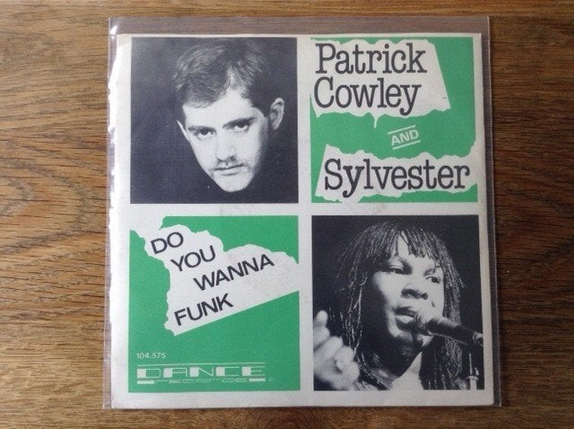 single patrick cowley and sylvester, Cd's en Dvd's, Vinyl Singles, Fotohoes, Ophalen of Verzenden, Overige genres