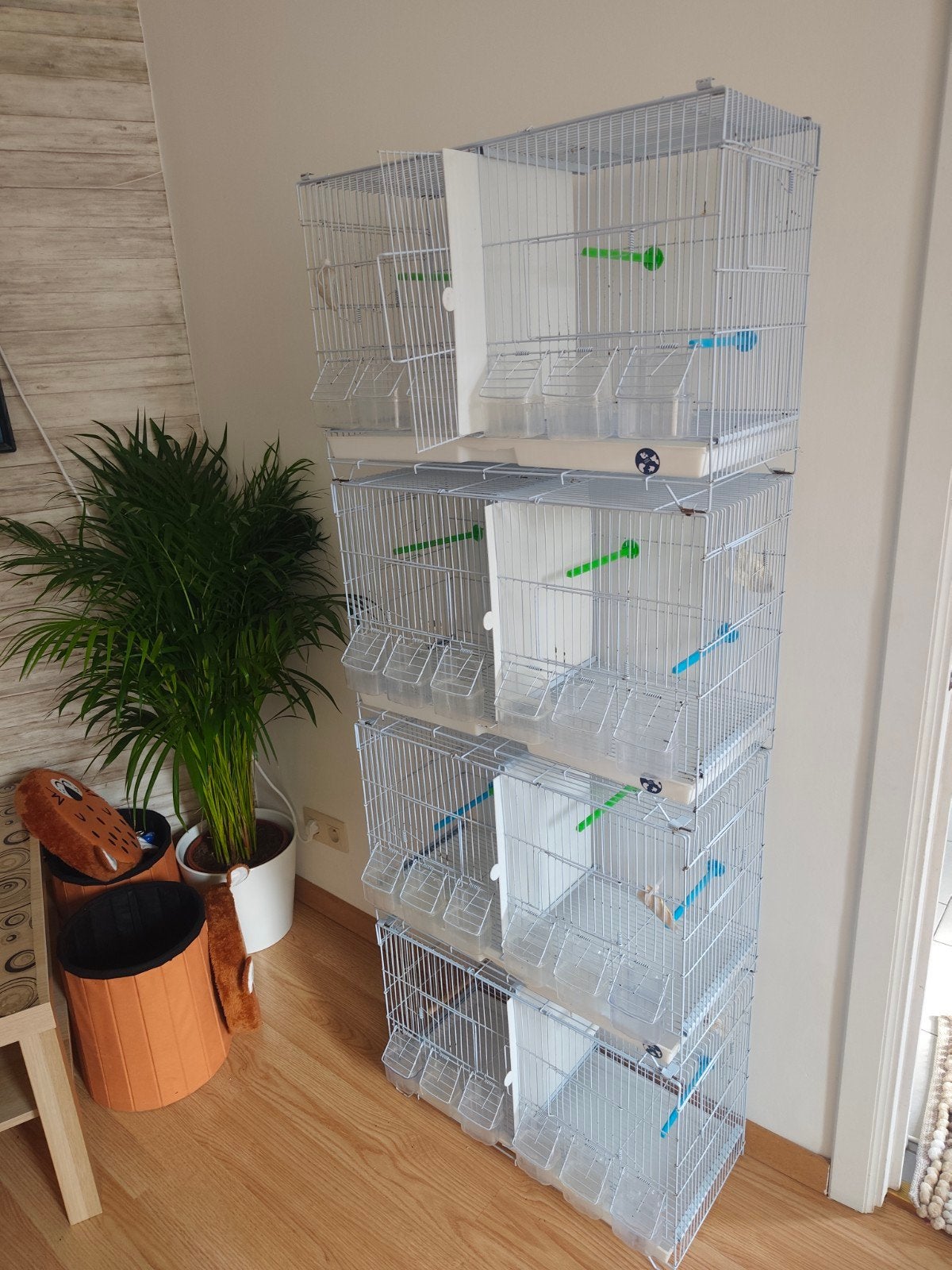4 cage d'élevage 120€ pour les 4, Ophalen of Verzenden