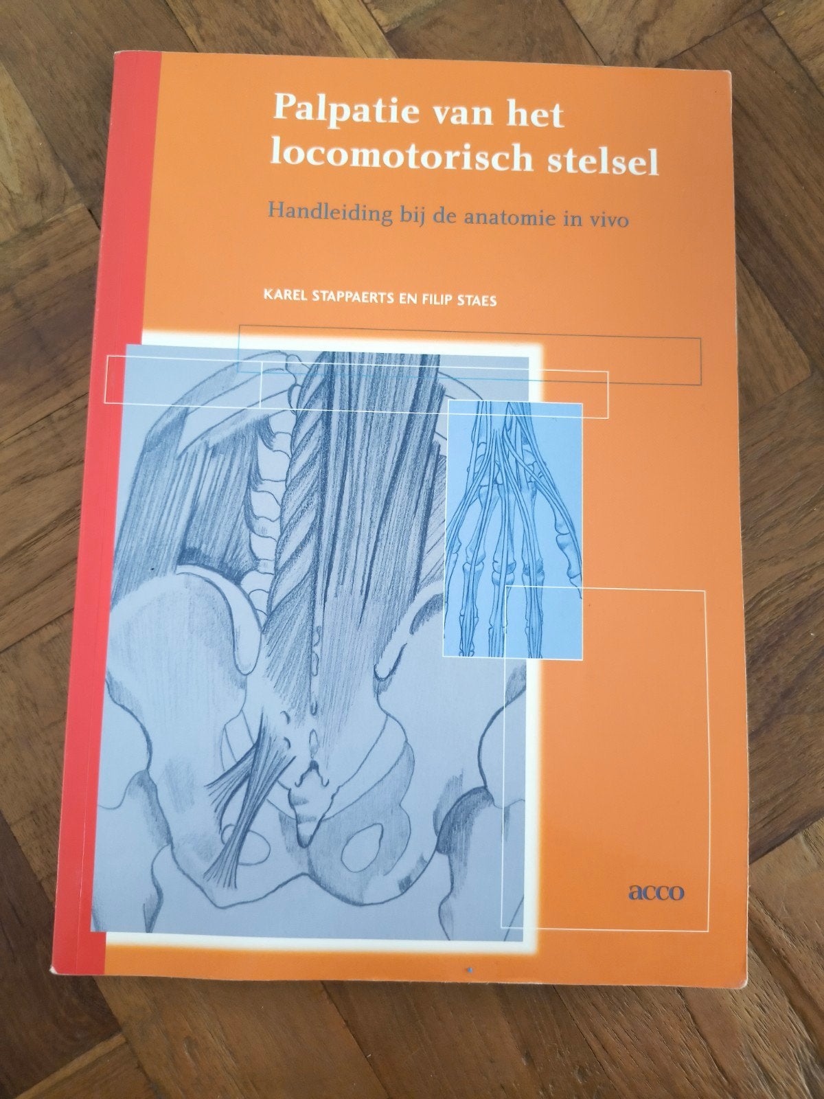 F. Staes - Palpatie van het locomotorisch stelsel, Boeken, Ophalen of Verzenden, F. Staes; K. Stappaerts