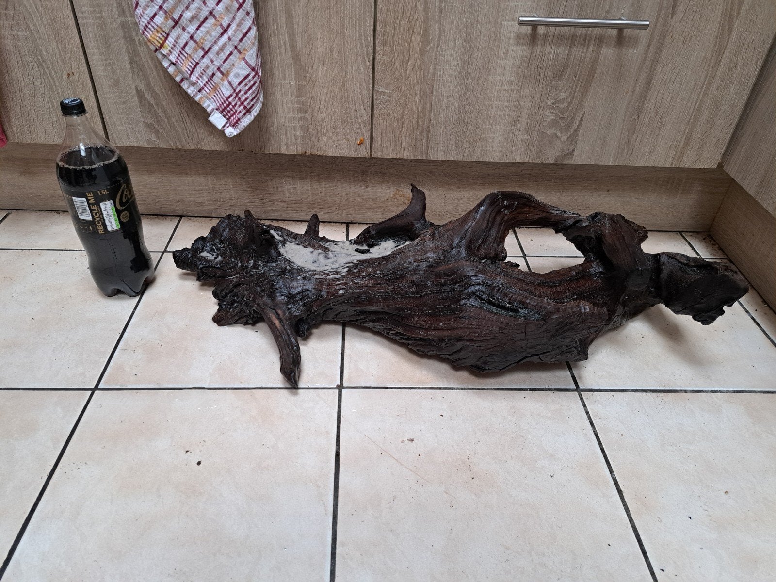grande souche aquarium ou reptil, Ophalen