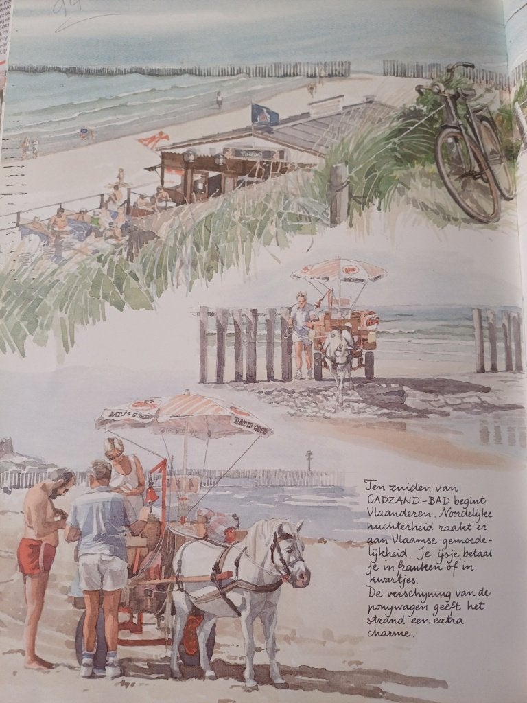 Kunstboek  "De kust" van Schiermonnikoog tot De Panne, Ophalen of Verzenden, Zo goed als nieuw, Albert Jan Cool, Schilder- en Tekenkunst