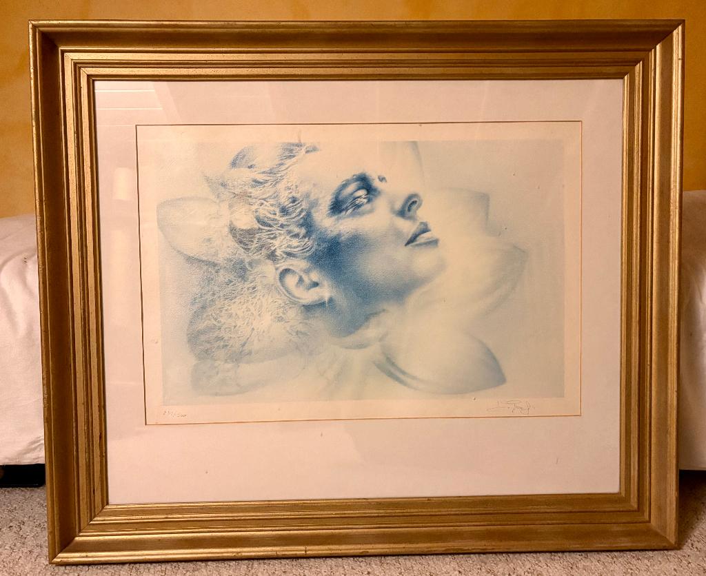 Zeefdruk airbrush David de graef, Ophalen of Verzenden