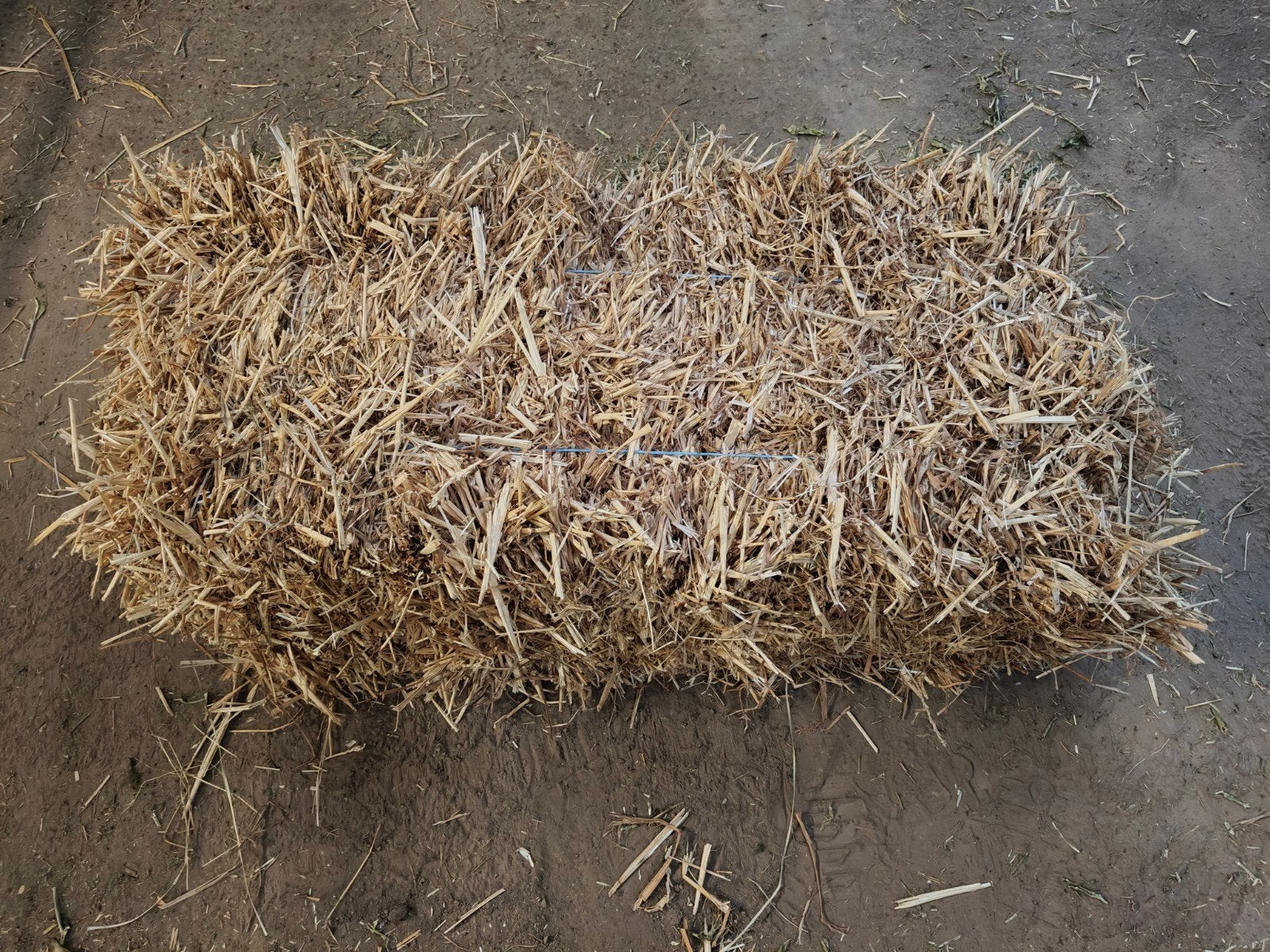 stro kleine balen, Dieren en Toebehoren, Ophalen