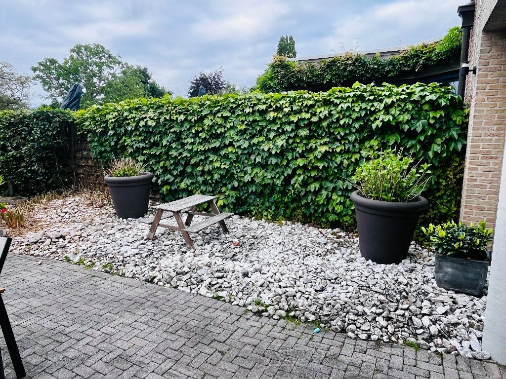 Witte/Grijze Sierstenen - GRATIS, Ophalen, Gebruikt, Grijs, Kei