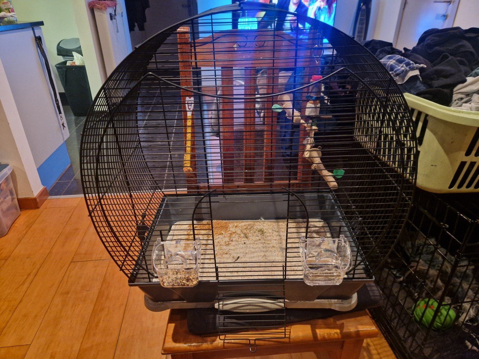 Mooie vogelkooi voor kanarie of pqrkiet, Ophalen, Gebruikt, Metaal, Vogelkooi
