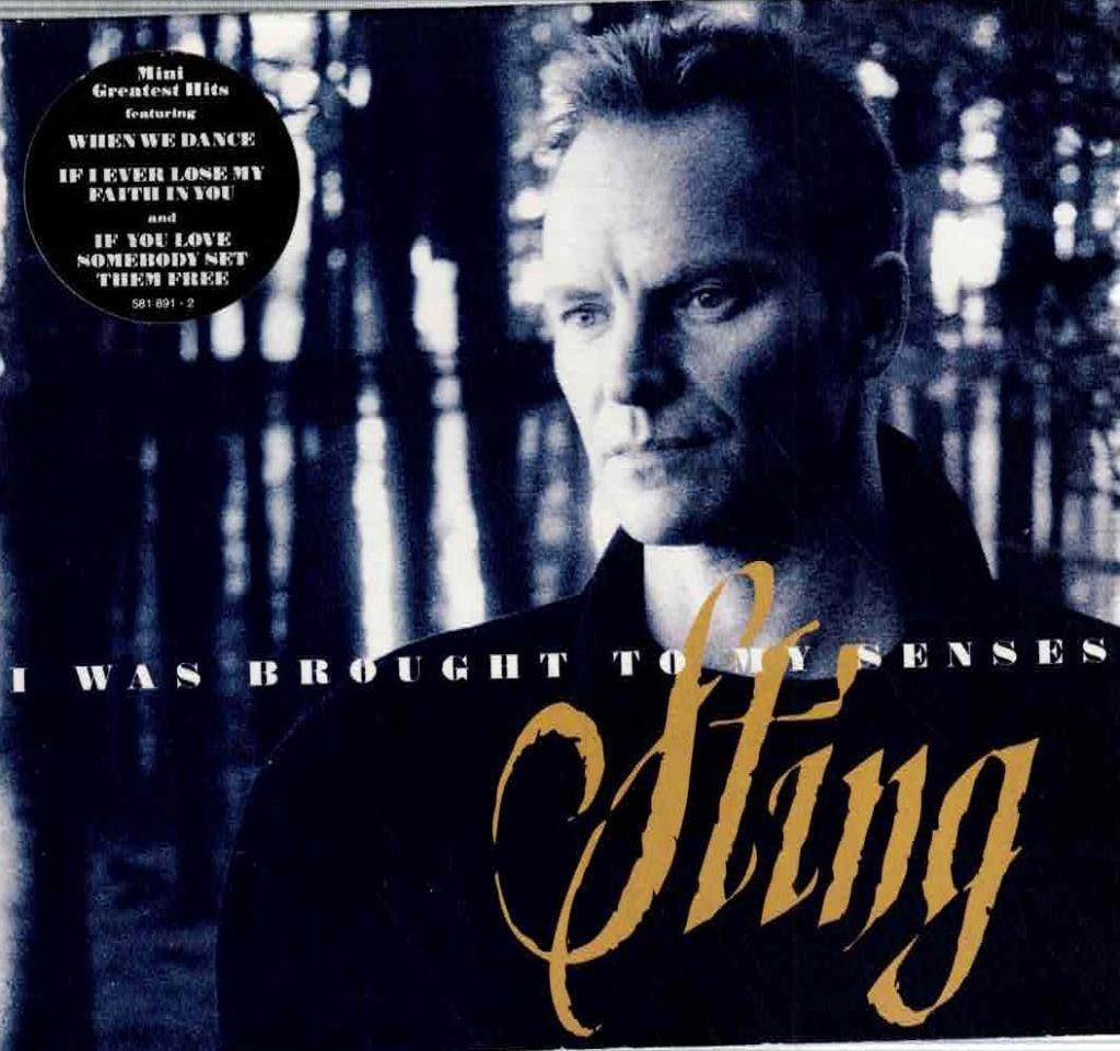 CD, Maxi-Single  /  Sting – I Was Brought To My Senses, CD & DVD, CD | Autres CD, Enlèvement ou Envoi