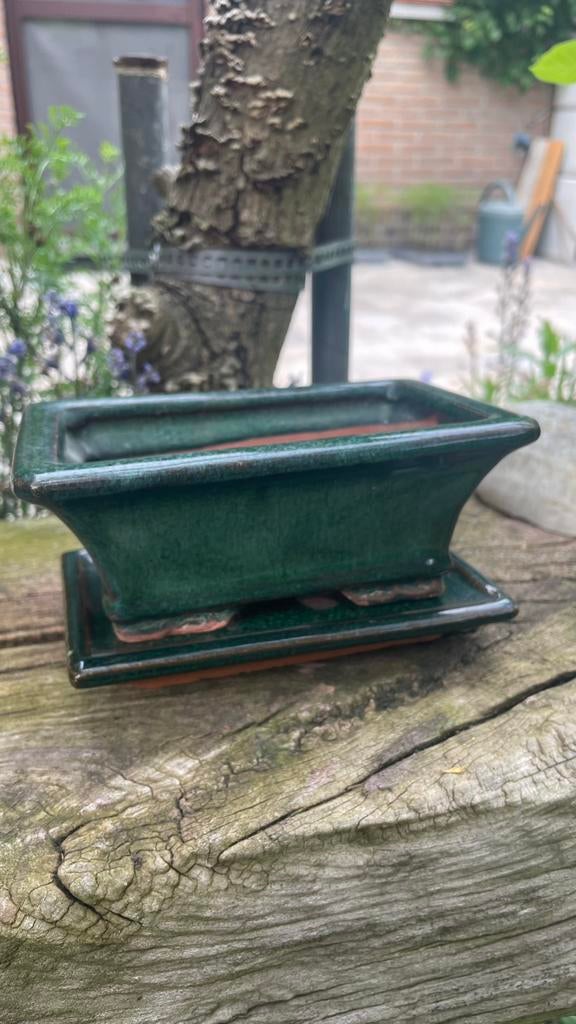 Kleine bonsaischaal te koop, Tuin en Terras, Bloempotten, Zo goed als nieuw, Ophalen