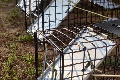 RATTENVAL - 20, Tuin en Terras, Bestrijdingsmiddelen, Nieuw, Ophalen