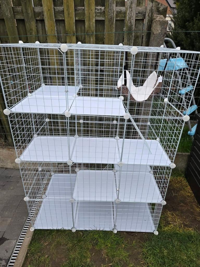 Buitenren voor (binnenhuis)katten, Ophalen