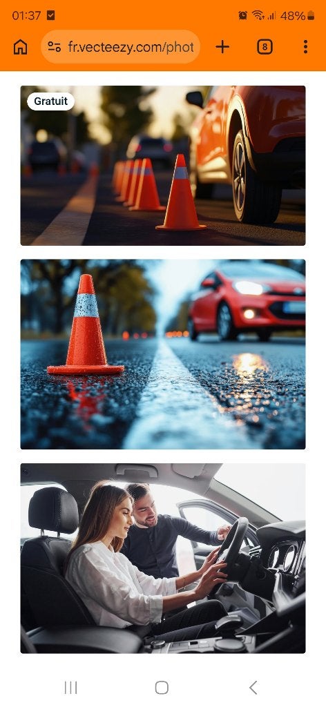 Cours supplémentaire après auto école, Enlèvement