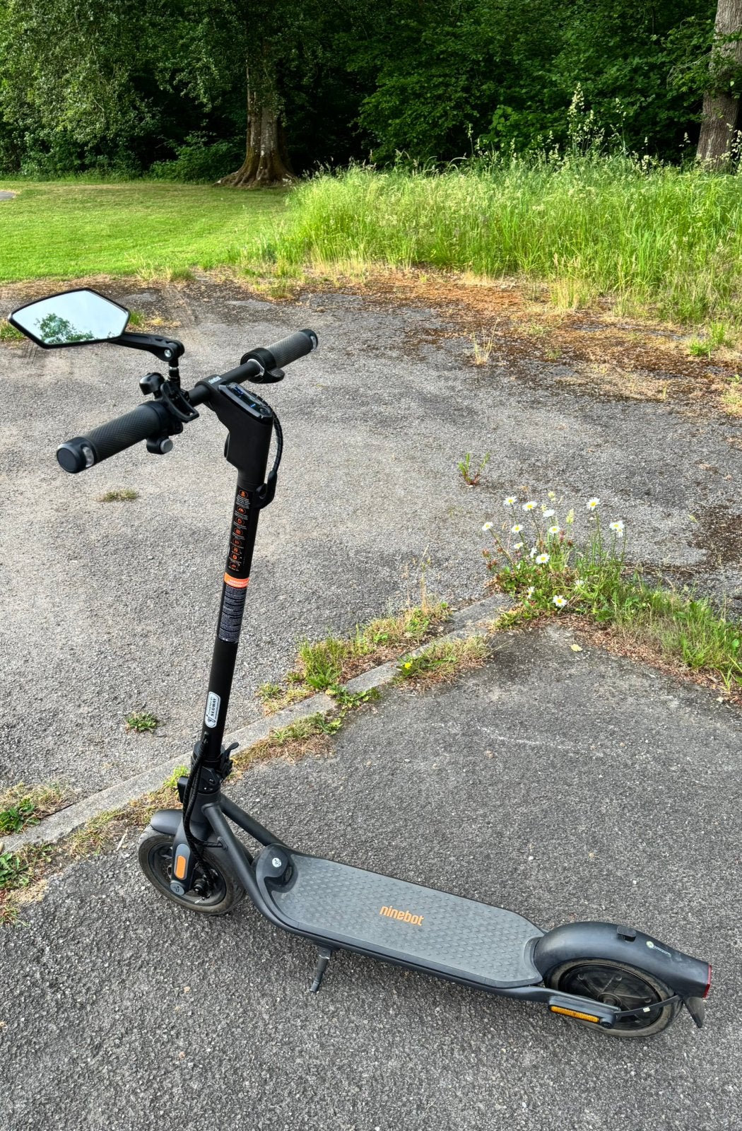 SEGWAY-NINEBOT F2E, Ophalen, Gebruikt, Elektrische step (E-scooter)