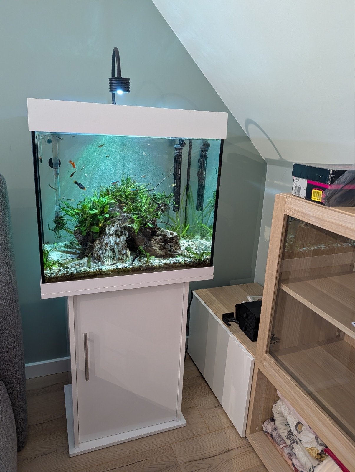 Lido 120 aquarium, Animaux & Accessoires, Poissons | Aquariums & Accessoires, Enlèvement, Tetra