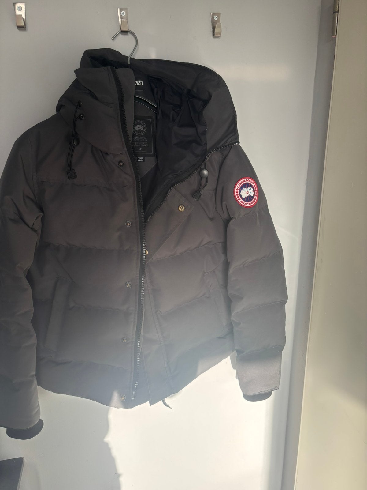 Bernache du Canada, Enlèvement, Neuf, Taille 46 (S) ou plus petite, Gris