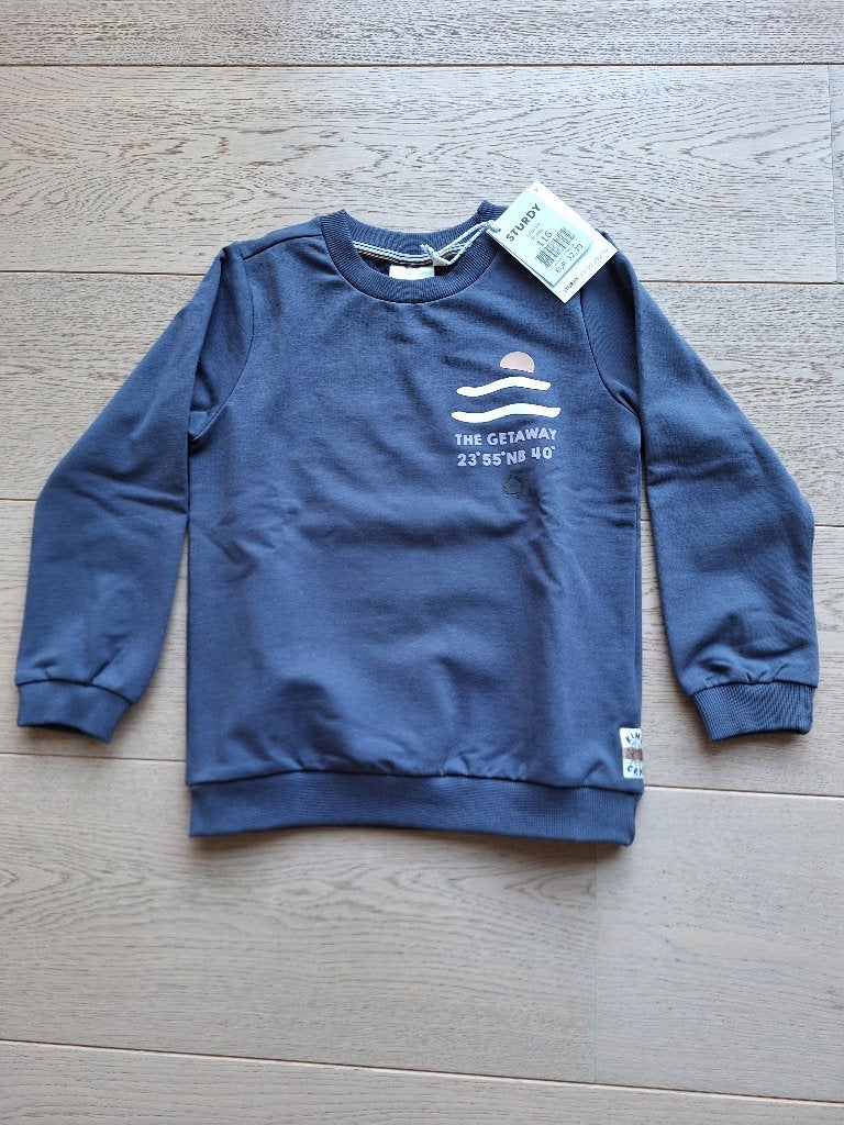 Sweater, Kinderen en Baby's, Kinderkleding | Maat 122, Ophalen, Trui of Vest, Jongen, Sturdy