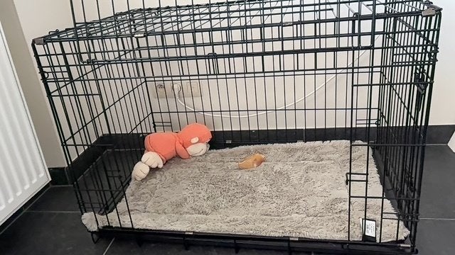 nouveau banc pour chiots, Enlèvement, Neuf