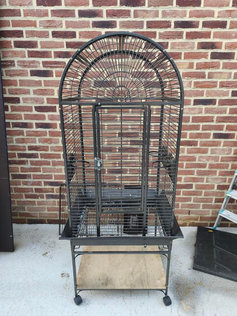 Cage perruches, Animaux & Accessoires, Enlèvement