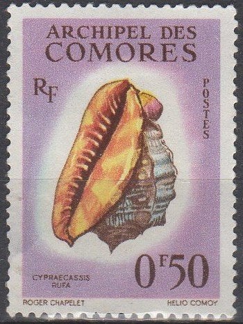 Comoren - Red Helmet Shell - 1962, Postzegels en Munten, Verzenden, Postfris