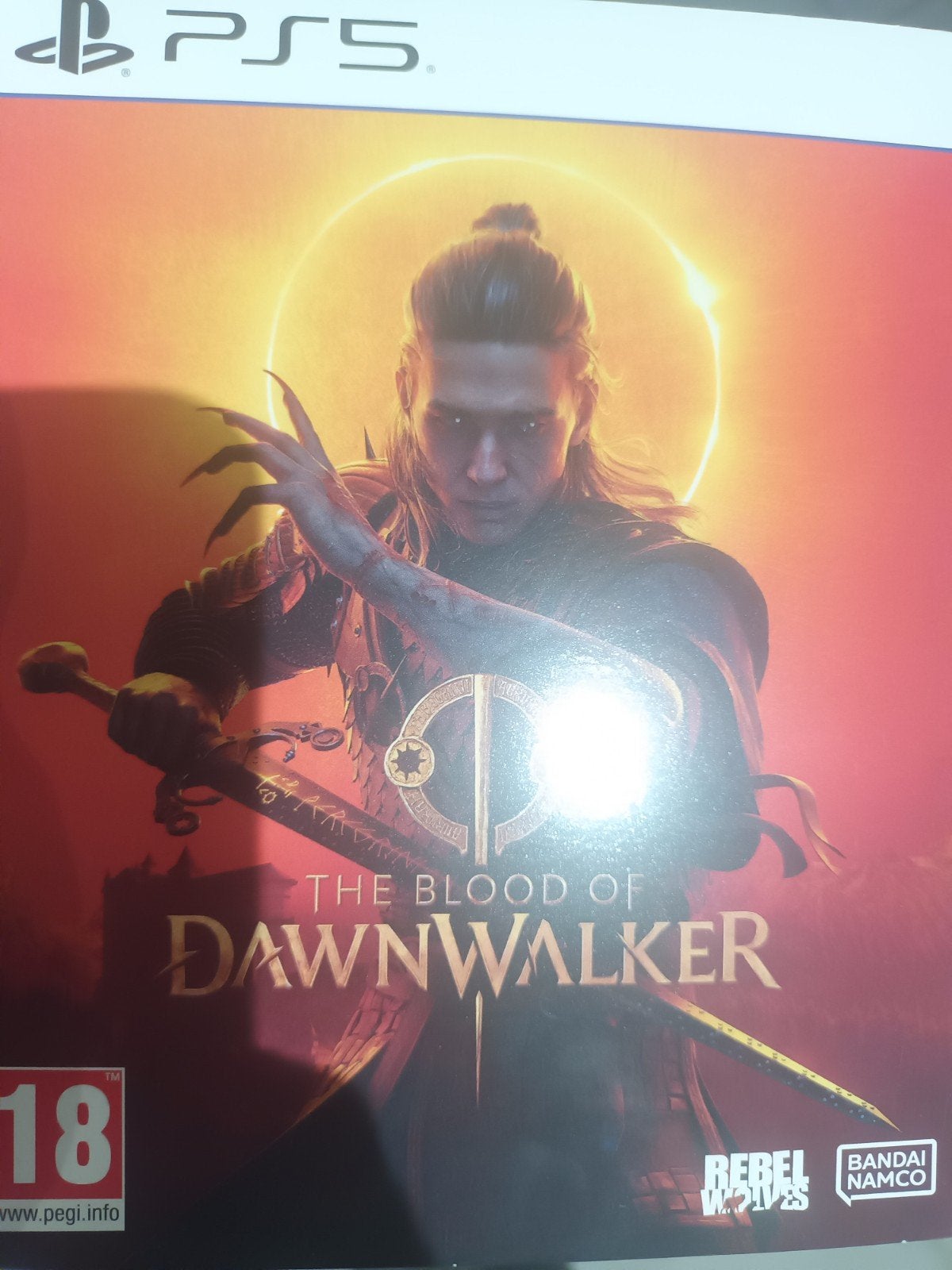 vend jeu the blood dawnwalker ps5, Consoles de jeu & Jeux vidéo, Enlèvement