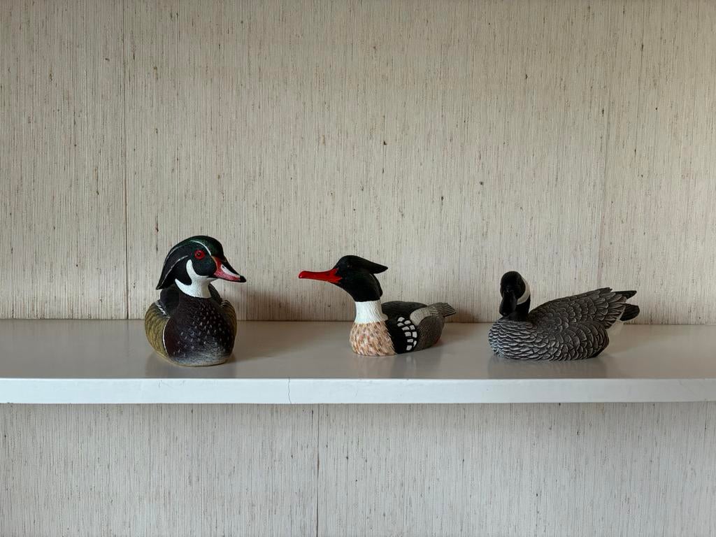 Canards à vendre., Enlèvement