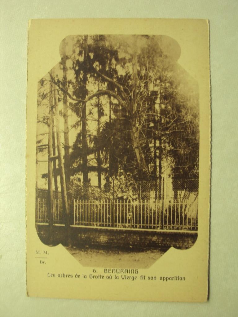 55484 - BEAURAING - LES ARBRES DE LA GROTTE - ZIE 2 FOTO'S, Envoi