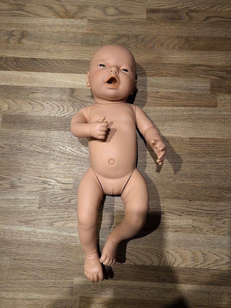 anatomische medische oefenpop Erler-Zimmer, Kinderen en Baby's, Speelgoed | Poppen, Ophalen of Verzenden