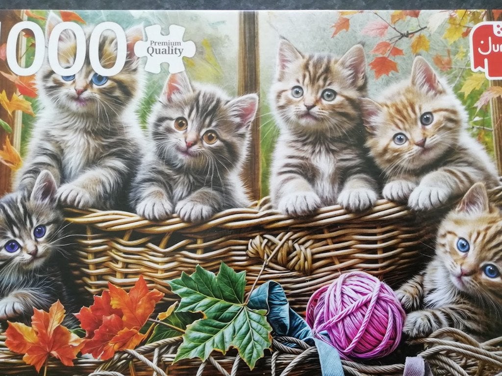 Jumbo puzzel / 1000 st / Kittens in a Basket, Ophalen of Verzenden
