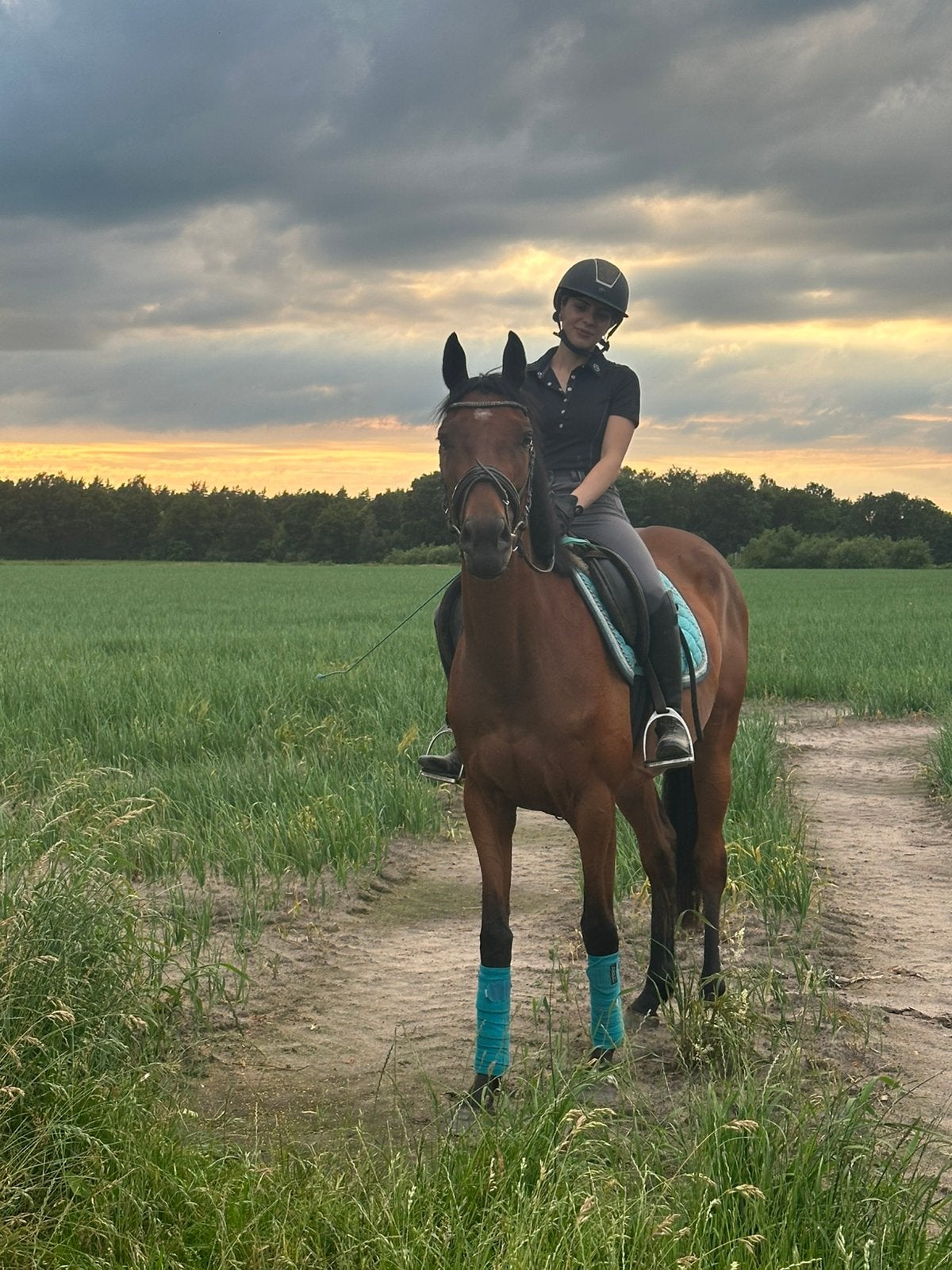 Brave recreatie pony, Dieren en Toebehoren, B, 3 tot 6 jaar, Recreatiepony, Merrie