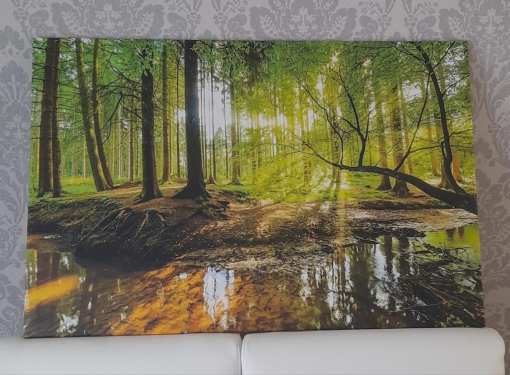 Canvas, Huis en Inrichting, Ophalen
