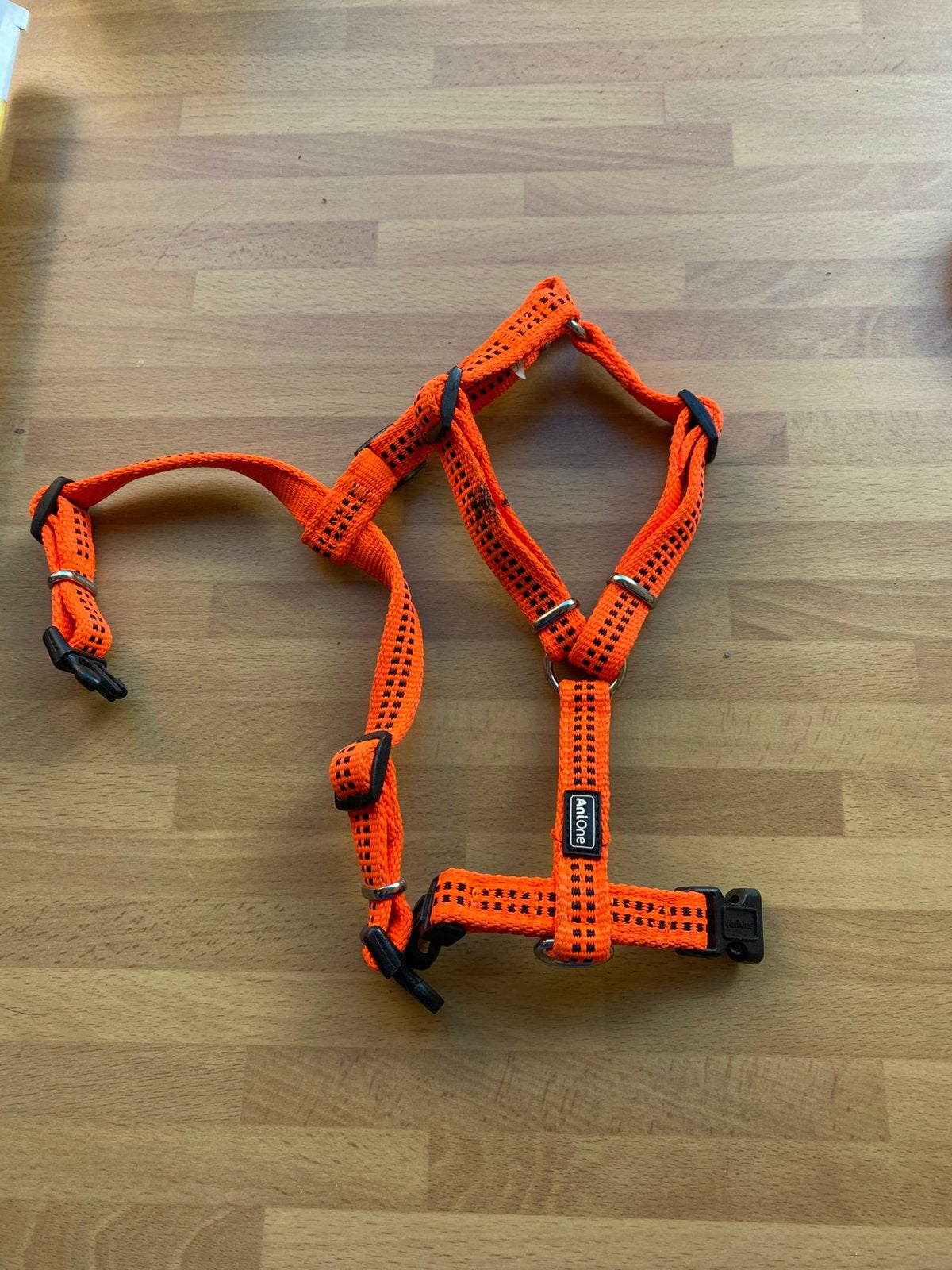 Anione harnas voor kat/hond NIEUW, Enlèvement ou Envoi, Lumineux, Neuf