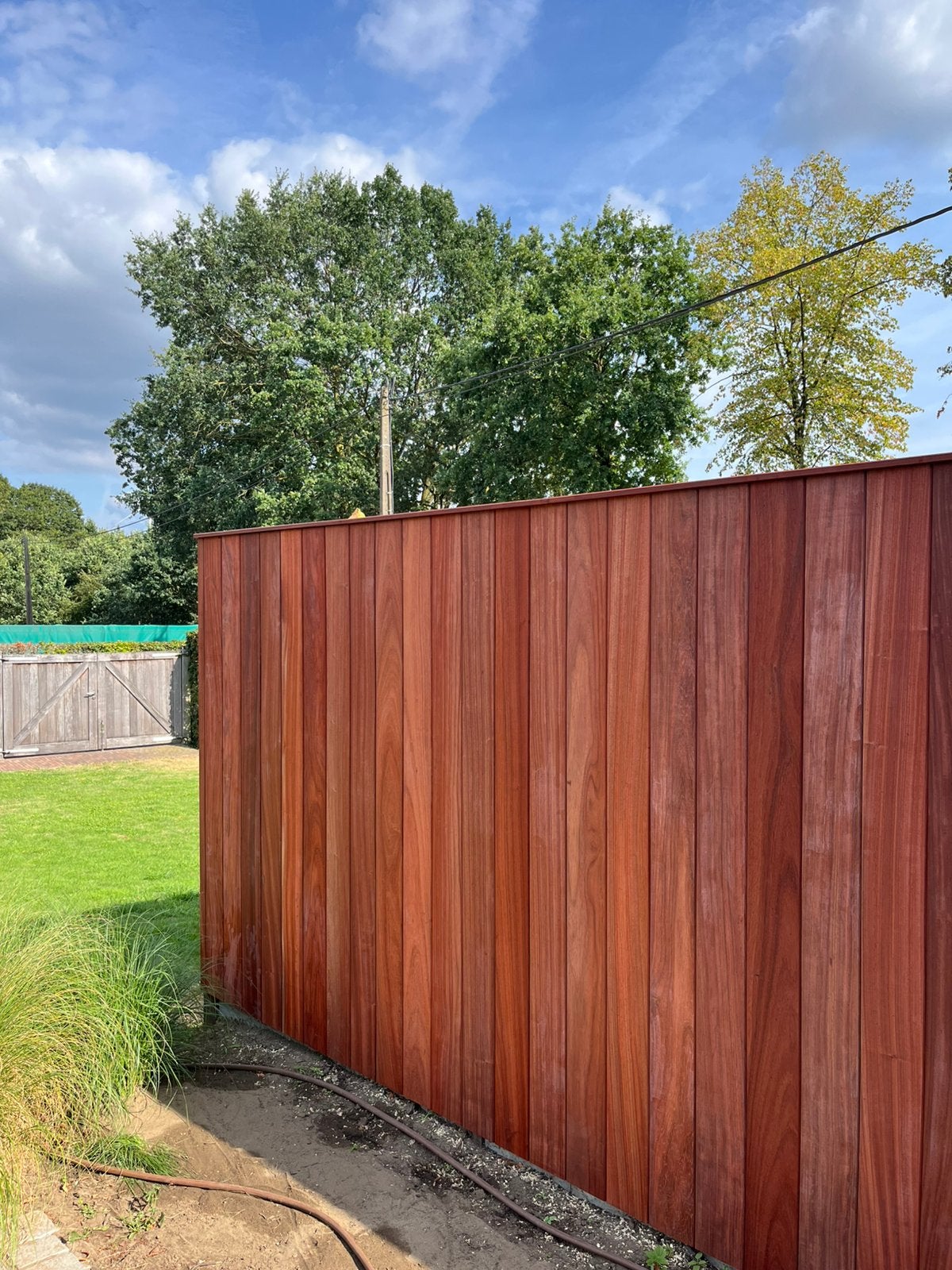 Padouk planchetten, Neuf, Planche, Autres essences de bois, Moins de 25 mm