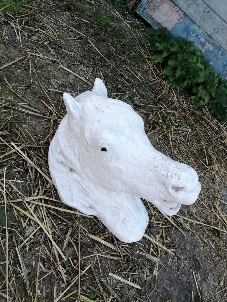 Zware paardenkop om te hangen., Ophalen