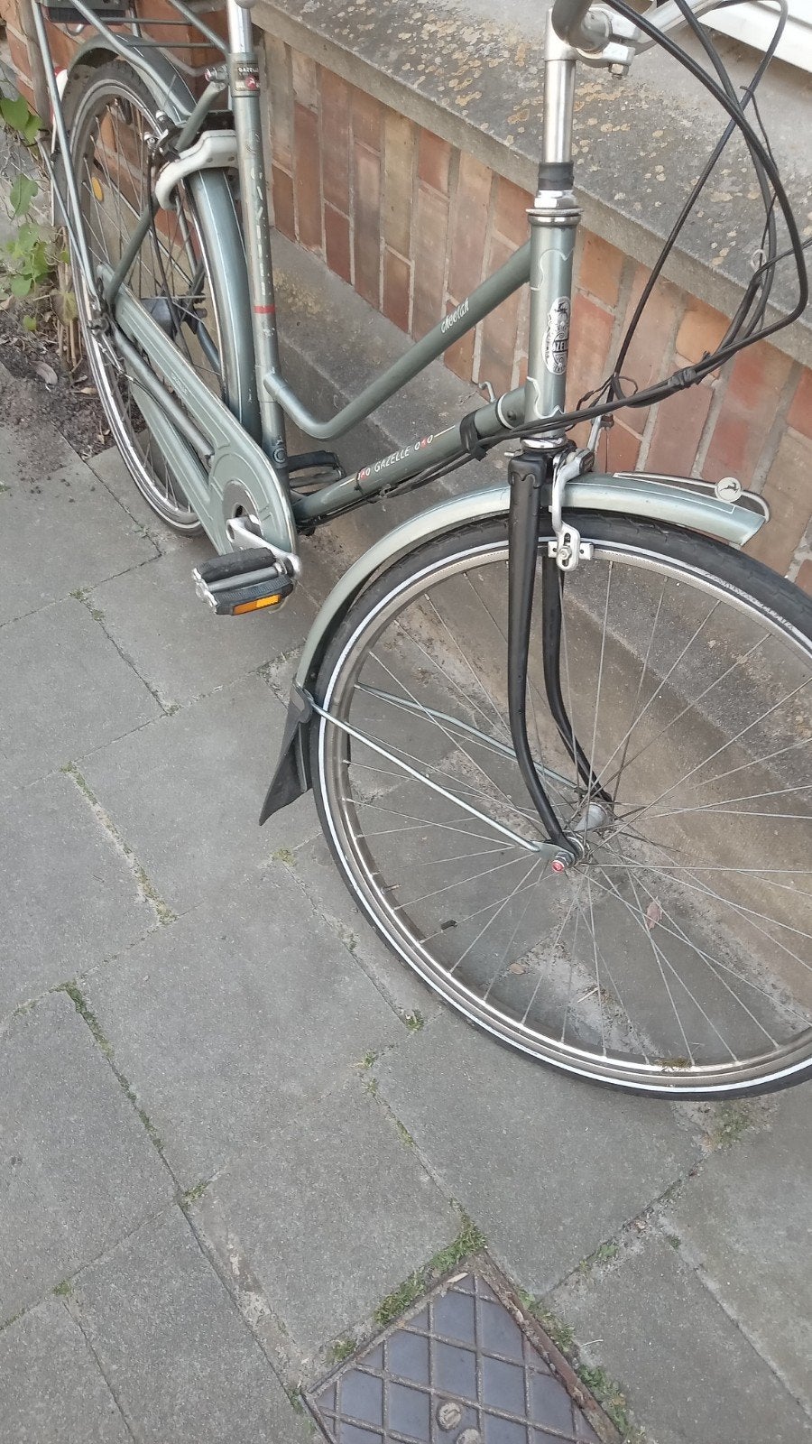 Gazelle, Enlèvement