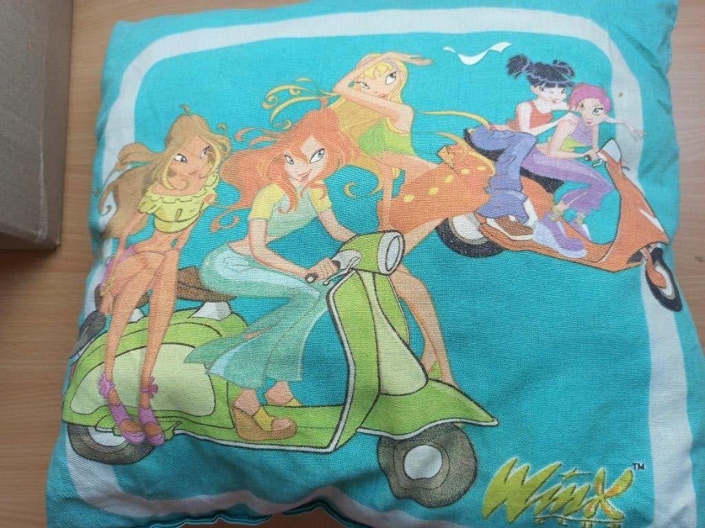 Winx kussentje, Ophalen, Gebruikt, Blauw, Textiel