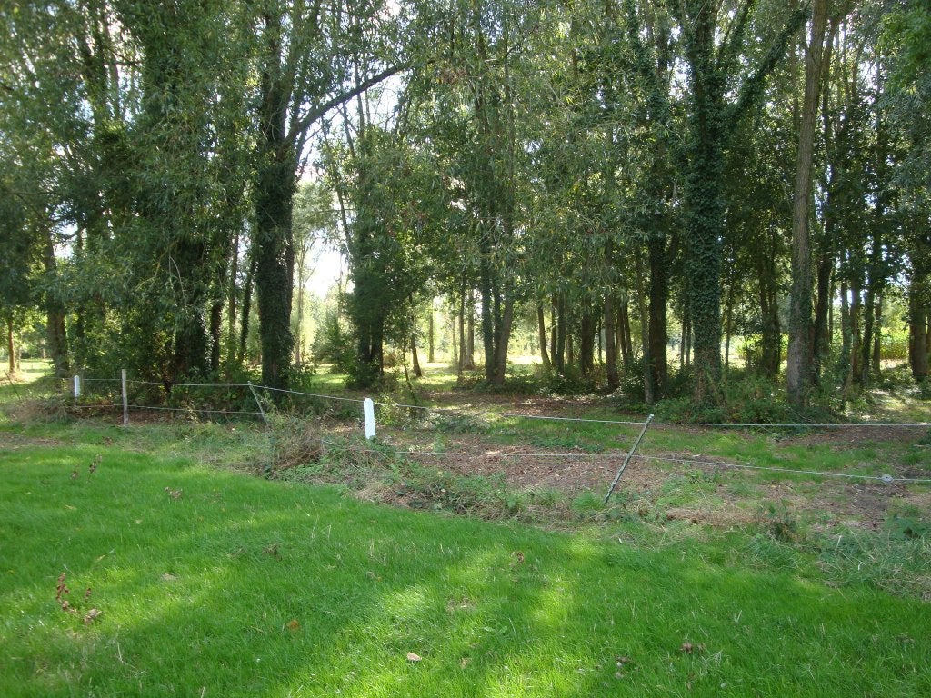 Houten achtergrond, Tuin en Terras, Ophalen