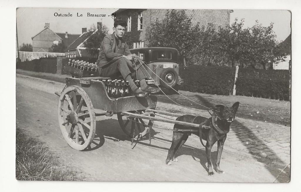 oostende pk fotokaart brasseur pollet ? TOP hondenkar, Ophalen of Verzenden, 1920 tot 1940, Ongelopen, West-Vlaanderen