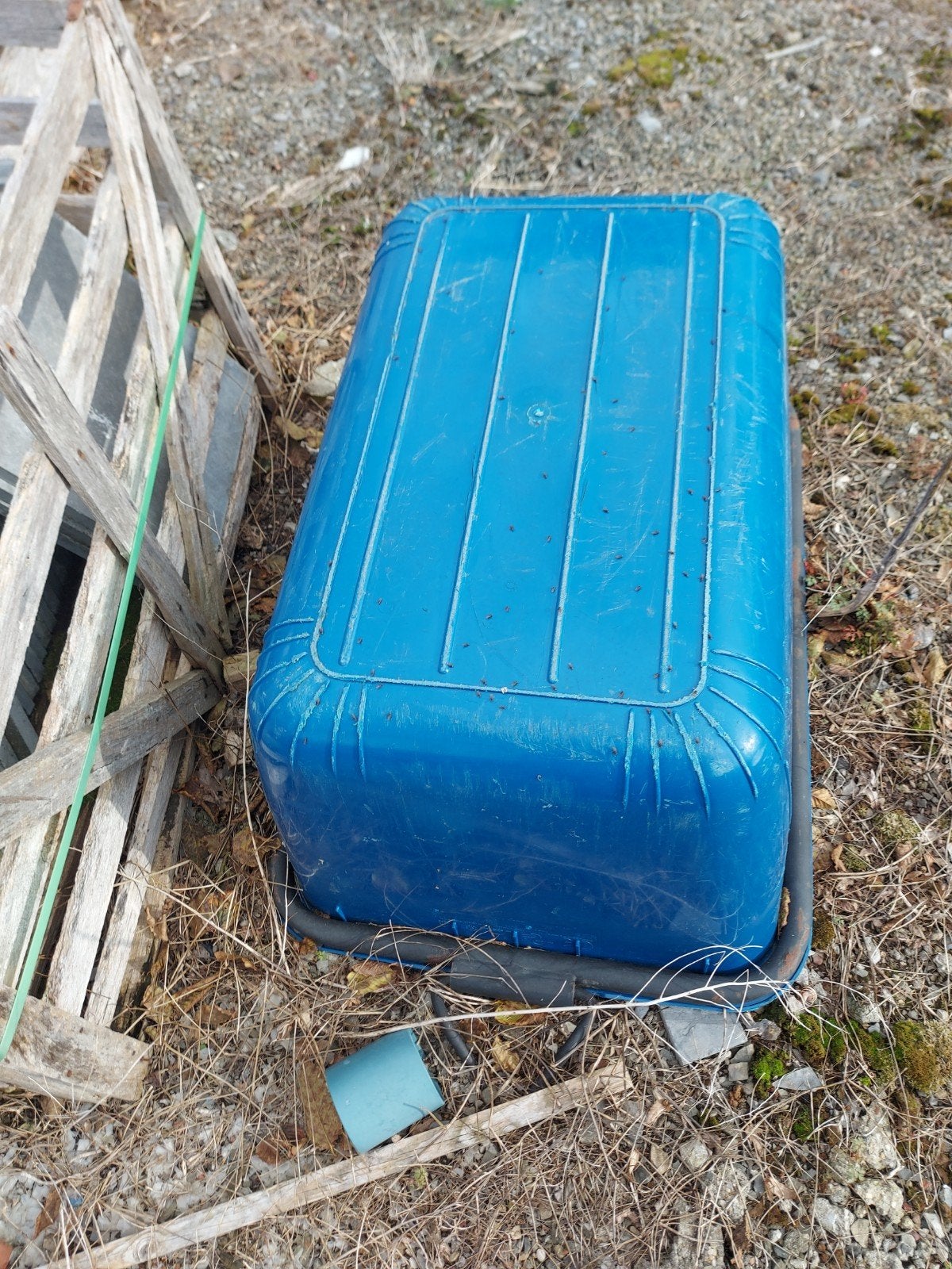 cuvelle, Bricolage & Construction, Enlèvement, Utilisé
