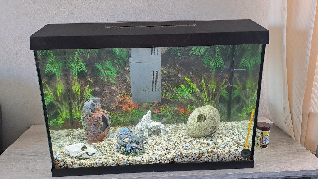 Aquiarium, Ophalen, Gebruikt, Gevuld zoetwateraquarium, Juwel