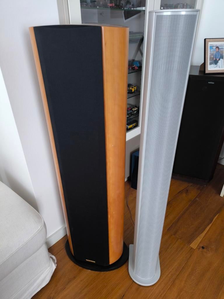 Revox Cabasse, Enlèvement