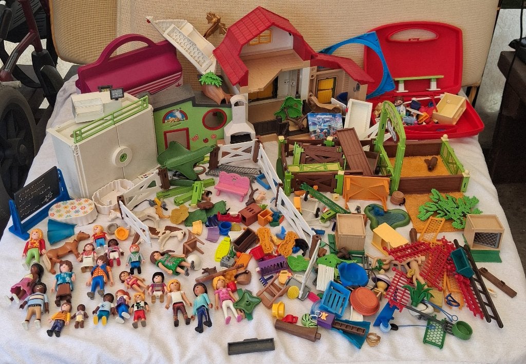 Playmobil divers, Enlèvement