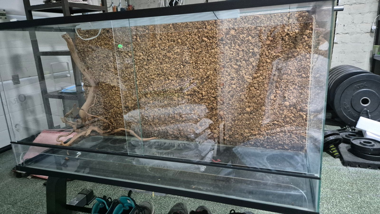Terrarium, Dieren en Toebehoren, Ophalen