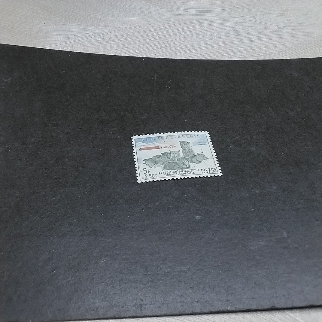 BELGIE 1031 postfris met cote 35,00 €, Ophalen of Verzenden, Postfris