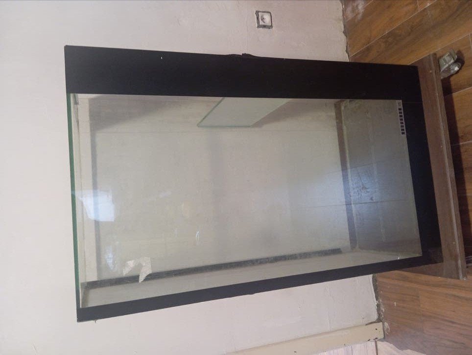 Gratis terrarium, Dieren en Toebehoren, Ophalen