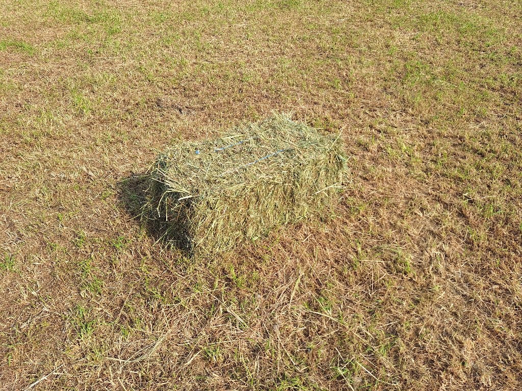 hooi, Dieren en Toebehoren, Ophalen, Vee