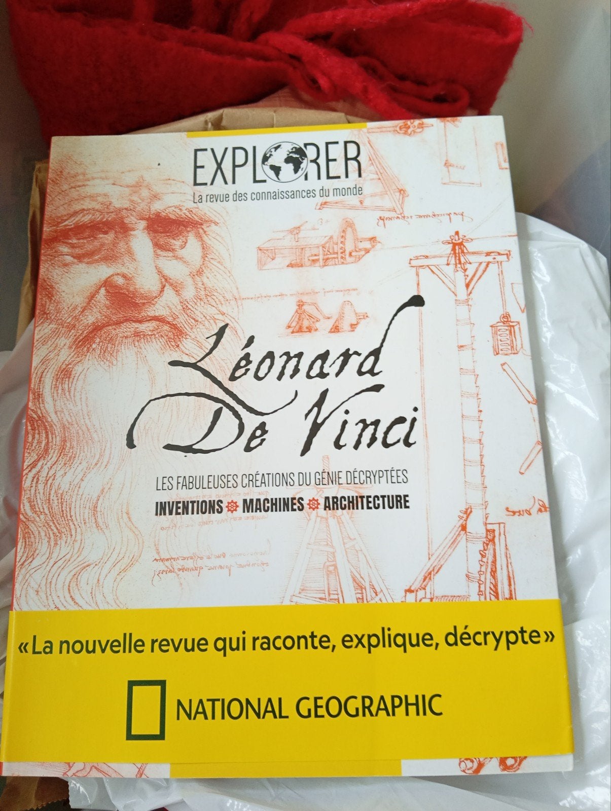 Léonard de Vinci, Enlèvement ou Envoi