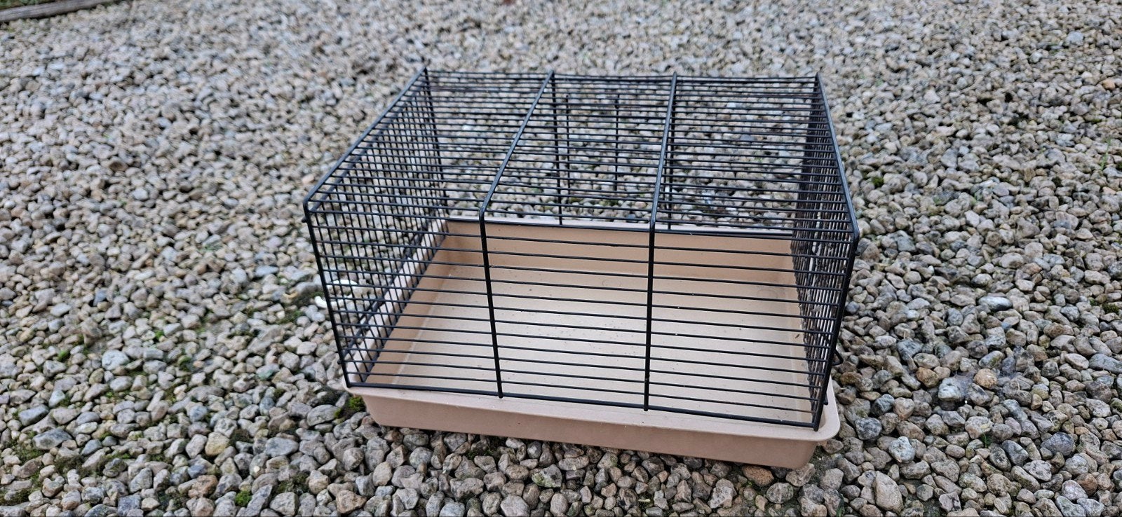 hamsterkooi, Enlèvement