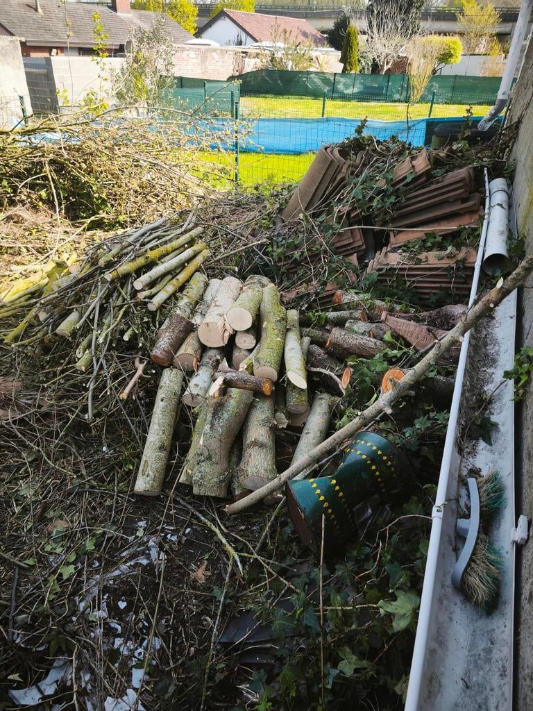 Bois a donner gratuitement, Tuin en Terras, Ophalen