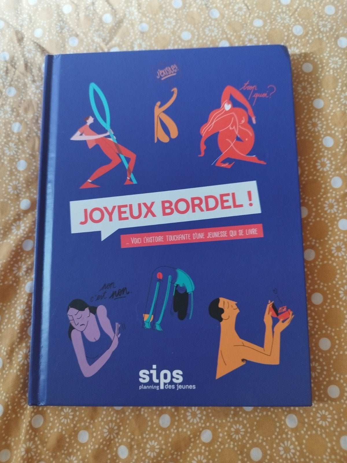 Vrolijk bordeel, Ophalen, Zo goed als nieuw, Non-fictie