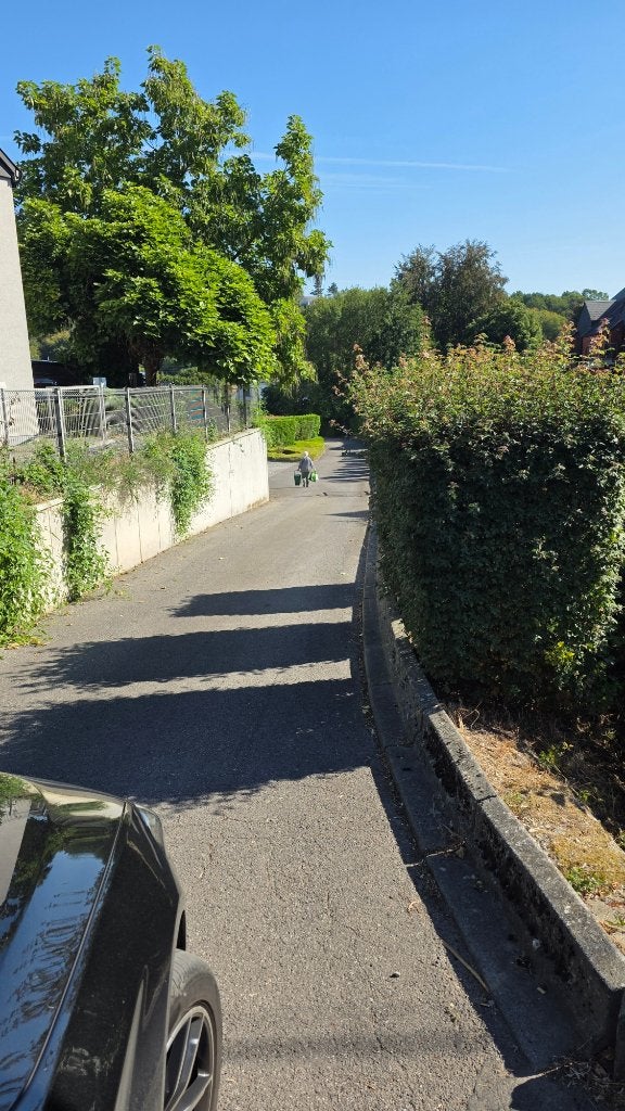 GARAGE DUN, Overige soorten, THUIN, Provincie Henegouwen