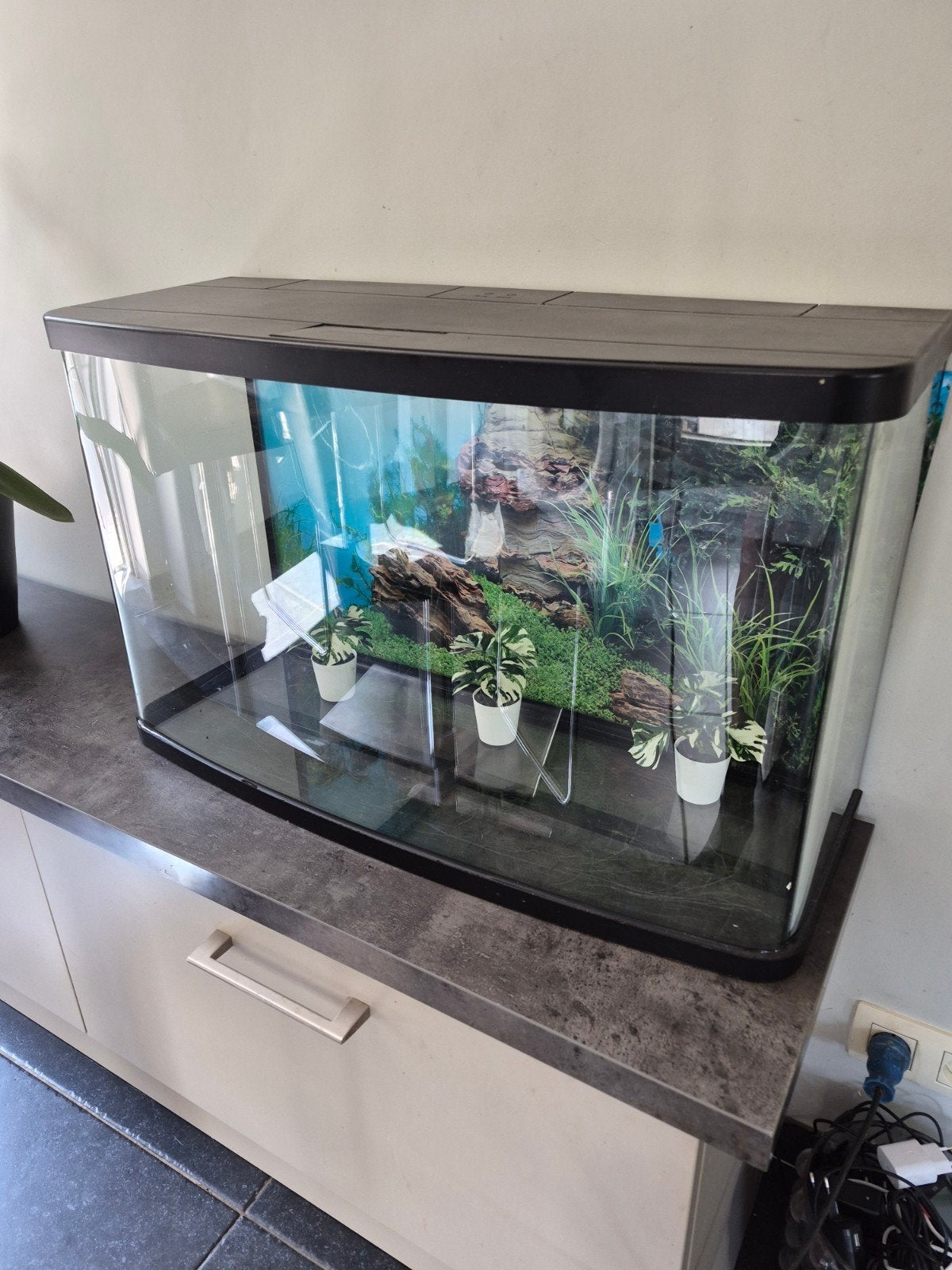 panoramisch aquarium, Ophalen, Pomp, Filter